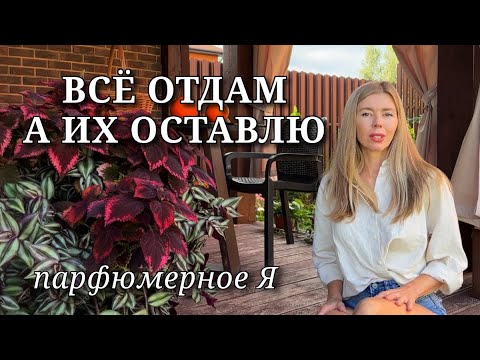 Видео: МОЁ ПАРФЮМЕРНОЕ Я 🎯 Ароматы, которые могу носить всегда