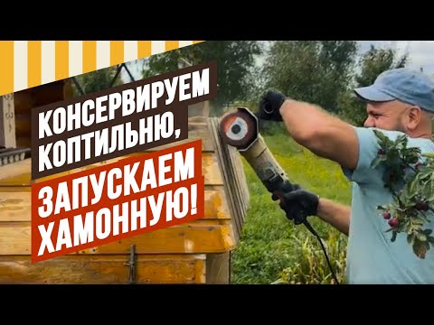 Видео: Консервируем коптильню на зиму и запускаем Хамонную. Коптильня еще и  варит, хамонная - еще и сушит!