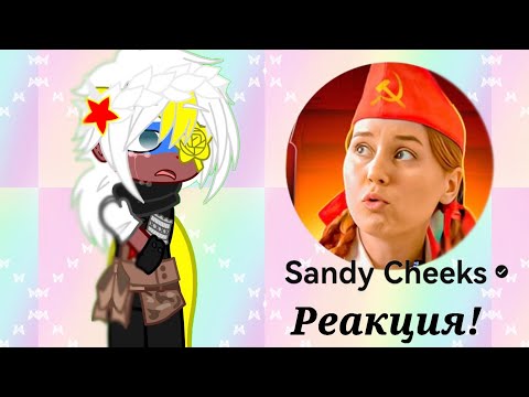 Видео: Реакция стран на Сэнди 14 (+ бонус)