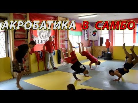 Видео: Акробатика для самбо и MMA! 16 упражнений из разминки чемпионов