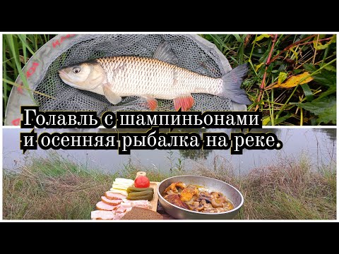 Видео: Осенняя рыбалка на реке и приготовление голавля с шампиньонами на природе!
