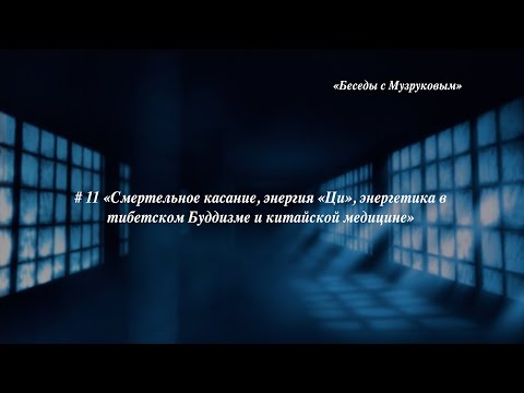 Видео: "Беседы с Музруковым" № 11