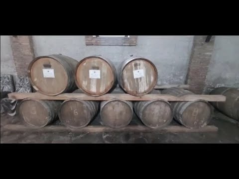 Видео: Грузия. Аджарская винодельня.