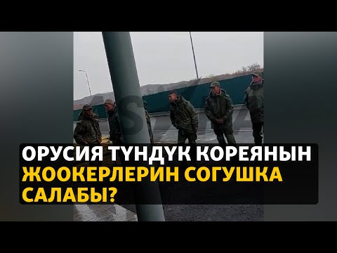 Видео: Орусия Түндүк Кореянын жоокерлерин согушка салабы?