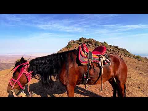Видео: Сандықтас