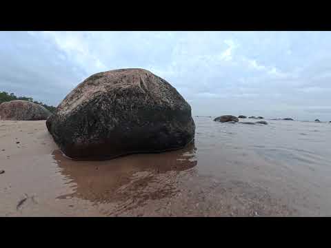 Видео: Финский залив на эстонской стороне, суббота 8 ноября 2025 года, дикий пустынный пляж.