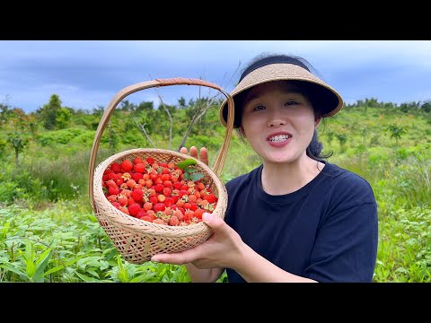 Видео: Лесная малина, полноценный обед, трое детей бросились есть