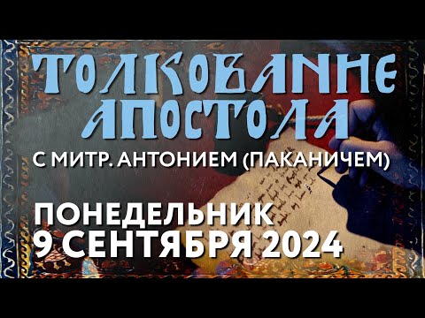 Видео: Понедельник, 9 сентября 2024 года. Толкование Апостола с митр. Антонием (Паканичем).