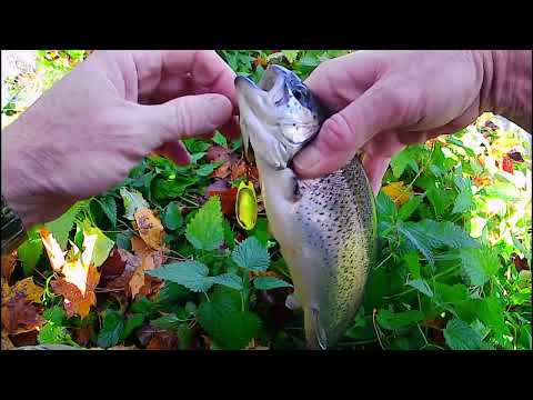 Видео: Закрыл сезон 2025.