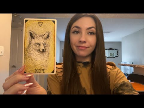 Видео: Они хотят быть ТОЛЬКО с ТОБОЙ 😍🙃🥰