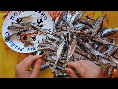 Видео: Уклейка поспела 👍 На чем я сушу уклейку 👍 Как солил 👍 Дегустация по соли