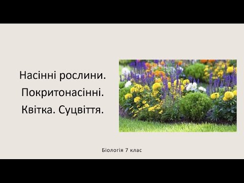 Видео: Насінні рослини. Покритонасінні. Квітка. Суцвіття