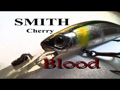 Видео: Ловля в жару +29. Smith Cherry Blood 90F