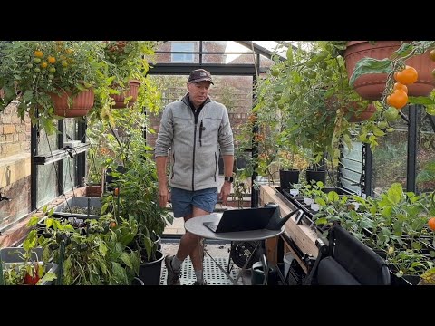 Видео: Что я сею и выращиваю в ноябре ~ для раннего старта в следующем году