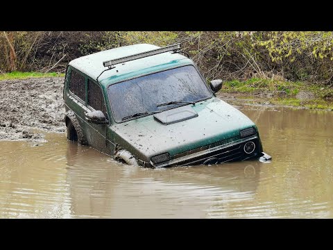 Видео: НИВЫ в БОЛОТЕ против ГАЗ 69, Suzuki JIMNY, НИВА 16кл. ОФФРОАД