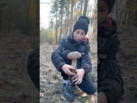 Видео: Любчик, справжній грибник👍