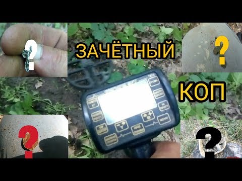 Видео: Зачётный коп в лесу с МД АКА СИГНУМ.