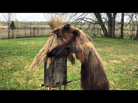 Видео: Пчеловодство с нуля. Часть четвёртая.