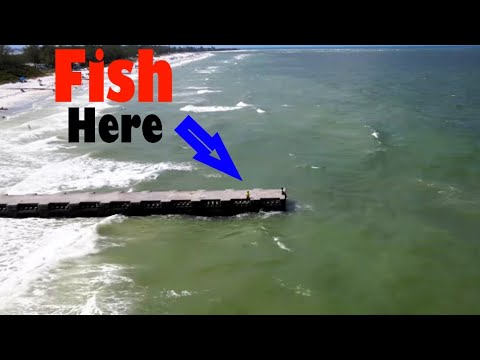 Видео: Непрерывная рыбалка на общественном пирсе! (Флорида Снук Ловля)