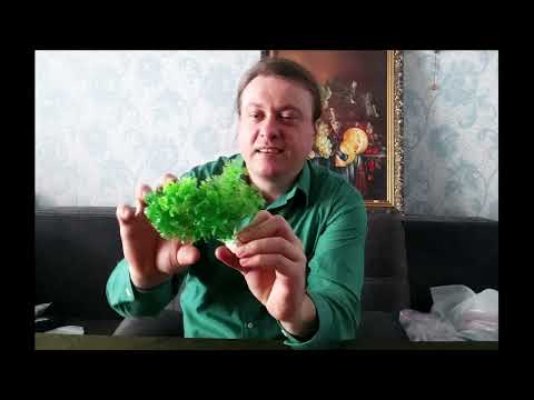 Видео: Розслабляюча розпаковка посилок з Укрпошти.