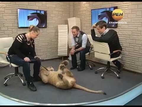 Видео: 5 вопросов Ольга Борисова (выпуск 20)