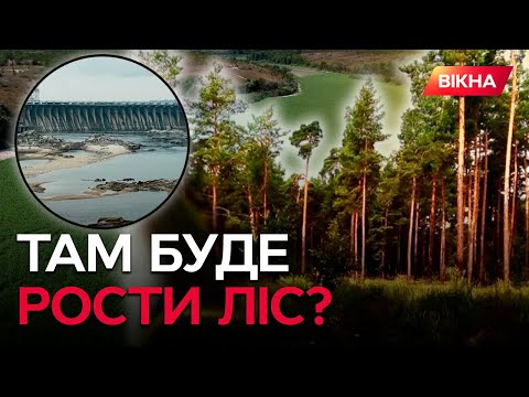 Видео: ЗЕМЛІ КАХОВСЬКОЇ ГЕС почали "ОЖИВАТИ"! Екологи ЗАЯВИЛИ про нову...