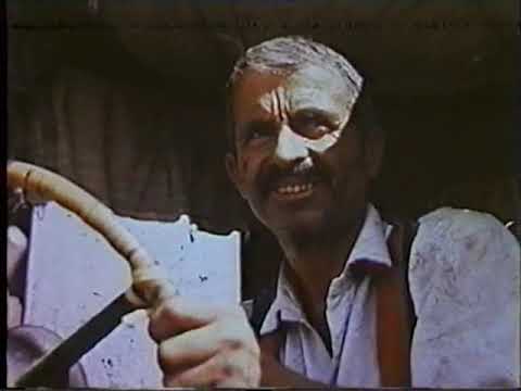 Видео: Собиқ колхози ба номи Киров. Ҳозира ҷамоати Панҷруд. (Дар ҳалқаи саияҳоб)