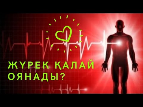 Видео: 💚💚💚ЖҮРЕК ҚАЛАЙ ОЯНАДЫ?💰🪷♾️