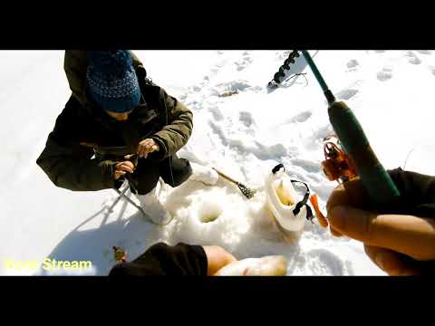 Видео: Ловим с сестрой крупного окуня на озере.