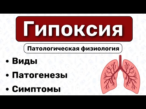 Видео: Гипоксия: виды, патогенез, парциальные давления / Патологическая физиология