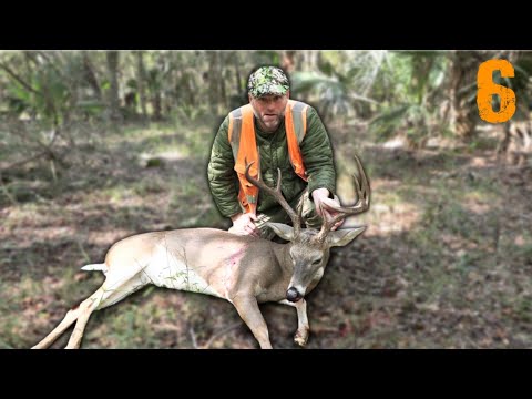 Видео: Лучший в жизни участник общественной земли Флориды