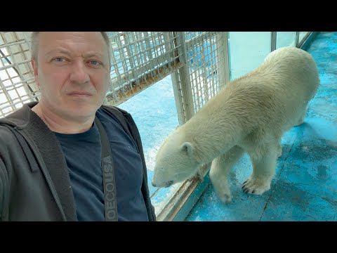 Видео: РАССТРОИЛСЯ на Юге в ГЕЛЕНДЖИКЕ от посещения ЭТОГО заведения / МИШЕК ЖАЛКО