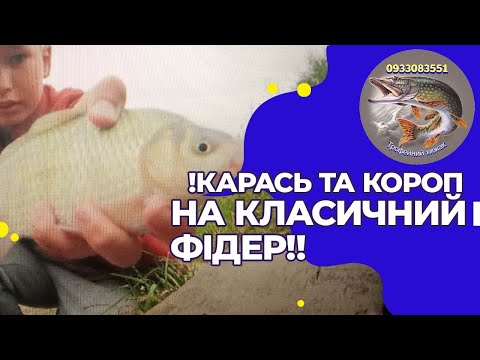 Видео: !!РАЗНОС!! КЛАСИЧНИЙ ФІДЕР РУЛИТЬ ПО КОРОПУ І КАРАСЮ!!!