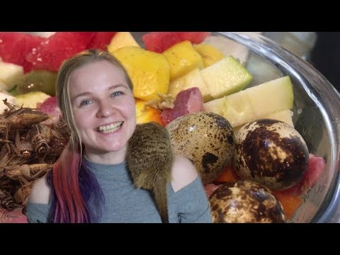 Видео: Сурикаты, дикобразы, обезьяны, попугаи: как успеть всё? Food for animals