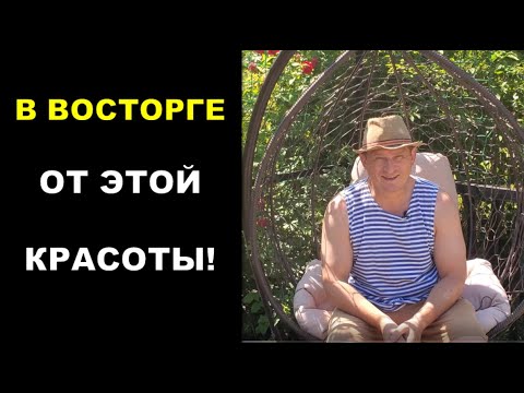 Видео: Вот во что вылились мои эксперименты в деревне. Сам в шоке!