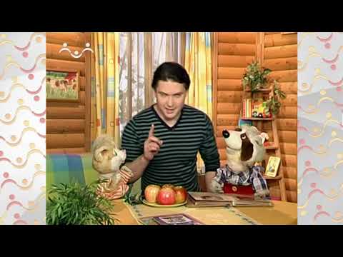 Видео: Шишкин Лес.  Правильный поступок
