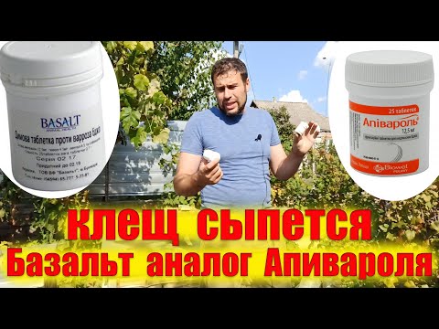 Видео: Клеща много, вторая обработка. Обработка пчел от клеща таблетками Базальт аналог Апивароля
