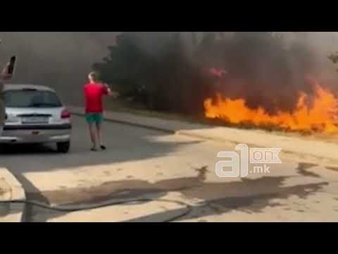 Видео: Пожар во расадник