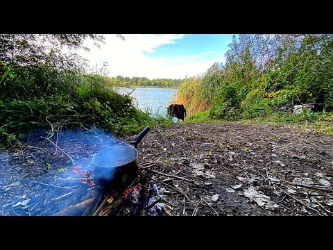 Видео: ЧЕБЕНІ. Риболовля на Фідер та Флет. Дикий карась розриває повідки.