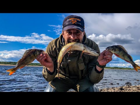 Видео: Что тут вообще происходит? / Окунь и щука на РЕЗИНУ / Рыбалка на хищника с берега