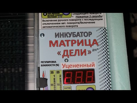 Видео: Обзор инкубатора Матрица Дели(Уценённый)