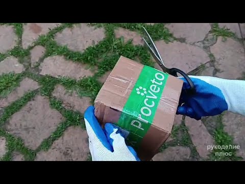 Видео: Procvetok. Посылка с интернет-магазина «Процветок». Распаковка