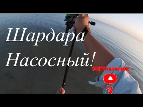 Видео: Шардара насосный хит жер балық көп!