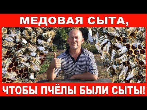 Видео: Медовая сыта, чтобы пчёлы были сыты!