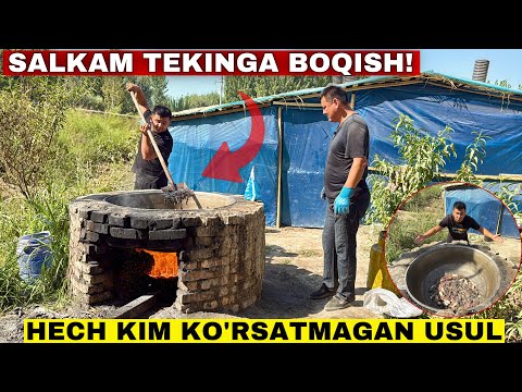Видео: Нимага Бундай Товук Бокиш Усулини Биздан Яширишган? Видеони Курмасангиз Афсусланасиз #2025 #секрет 