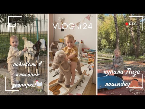 Видео: Vlog 24 // Побывали в классном зоопарке!🪿У Лизы появилась лошадка🐴