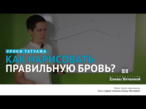 Видео: Эскиз бровей: рисуем брови правильно. Теория. #татуаж #татуажбровей