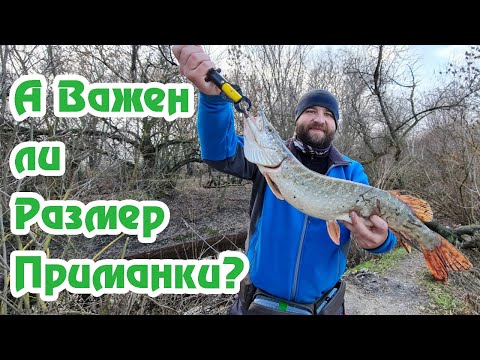 Видео: Важен ли размер приманки? / Первая трофейная щука / Размер не Важен /  Зимний Спиннинг /