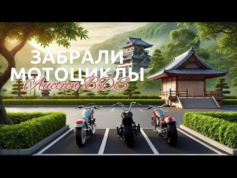 Видео: Мотоциклы с аукциона Японии