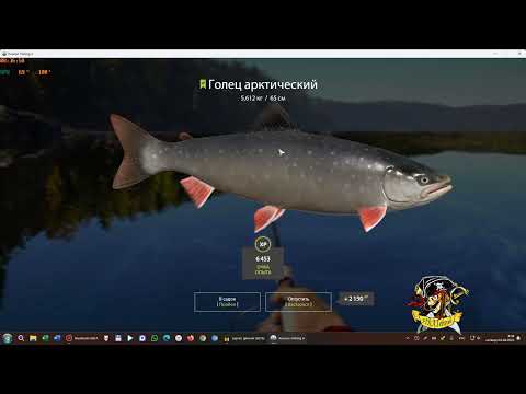 Видео: Russian Fishing 4 /Русская рыбалка 4 ▶🐟Тунгуска - Дрягина 🐟